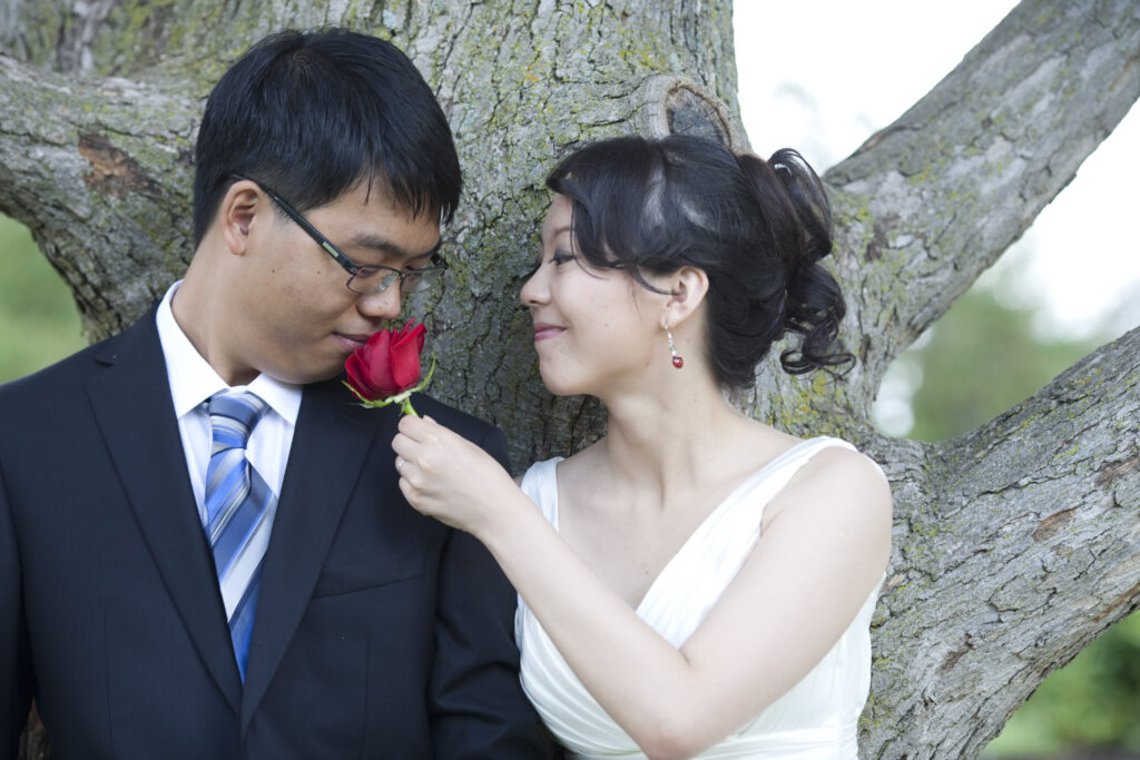 Image gallery image